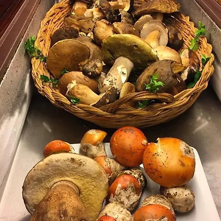 Hotel Il Castello Villaputzu