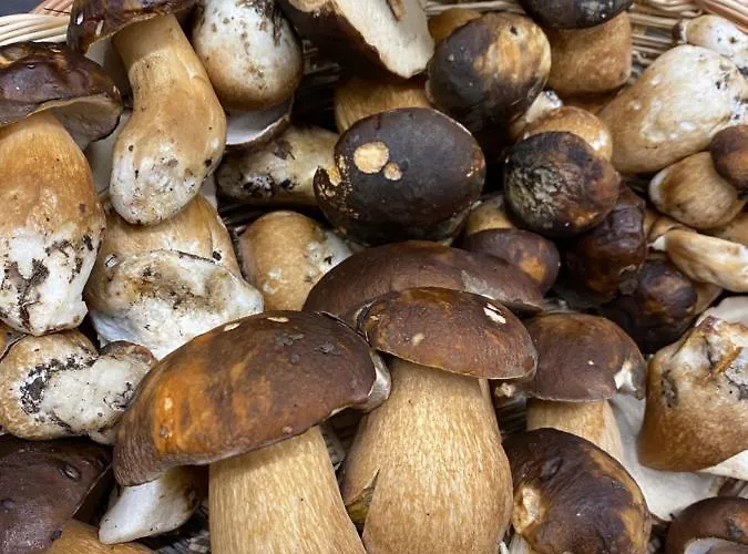 ホテル Il Castello